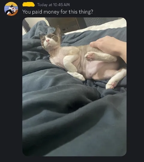 You Paid Money for This Thing?