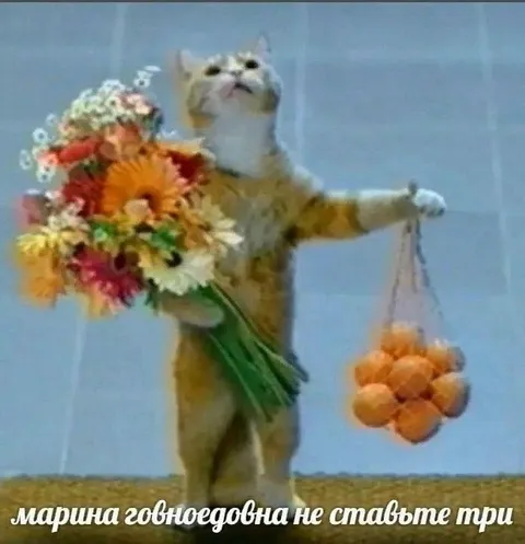 Марина говноедовна не ставьте три
