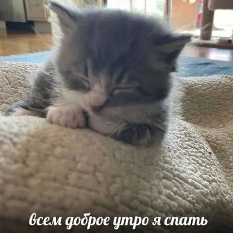 Всем доброе утро, я спать