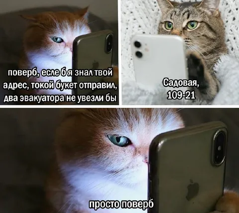 Букет, который не увезут эвакуаторы
