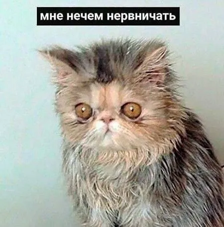 Мне нечем нервничать
