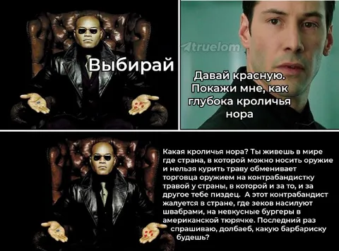 Выбирай красную таблетку