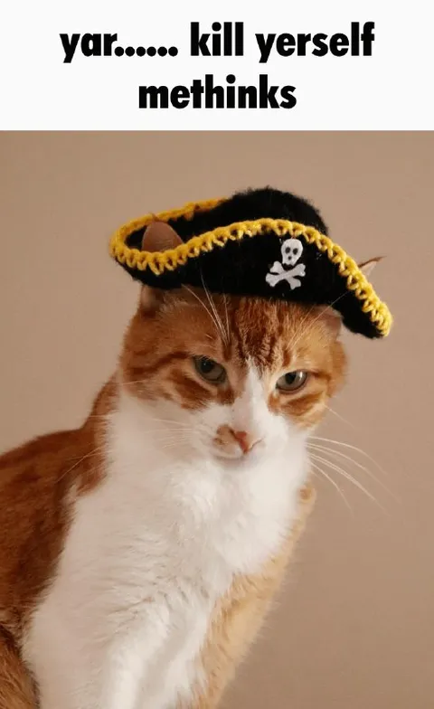 Pirate Cat Says Kill Yourself