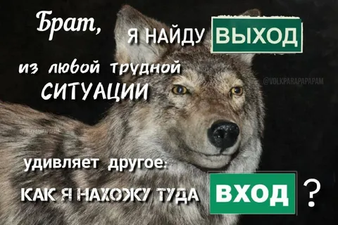 Как я нахожу вход