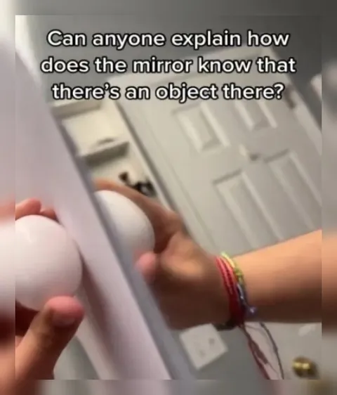 Mirror Object Confusion
