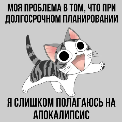 Кот готовится к апокалипсису