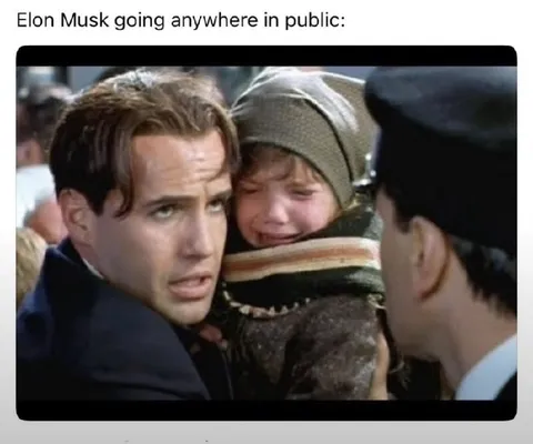 Elon Musk in Public