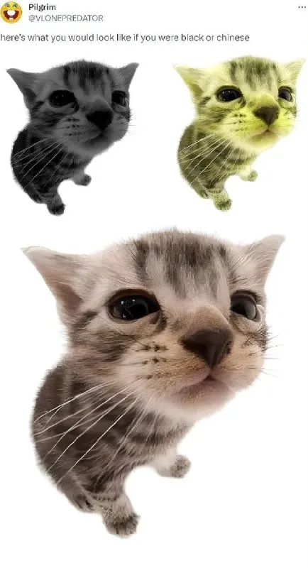 What You Would Look Like