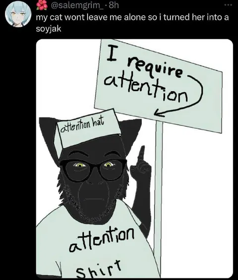 Cat Turned Into a Soyjak