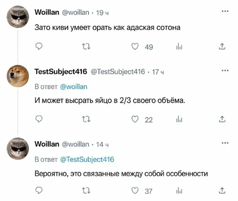 Связанные особенности киви
