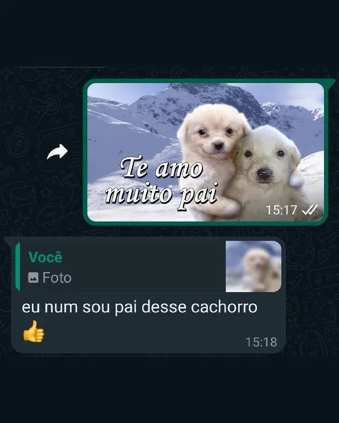 Eu não sou pai desse cachorro