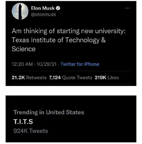 Elon Musk T.I.T.S. University