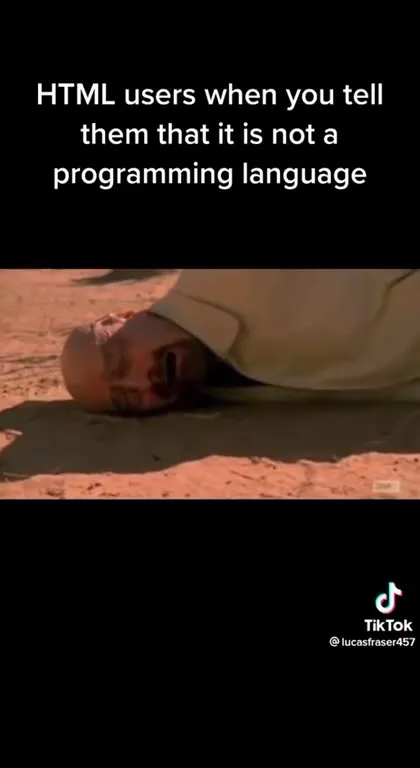 Programmers Fighting Over Programming Languages