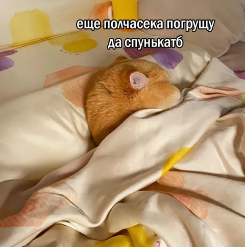 Хомяк ещё немного поспит