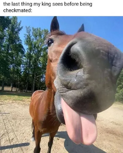 Horse Before Checkmate