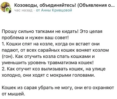 Козёл и кошки в сарае