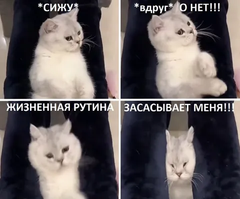 Жизненная рутина засасывает меня
