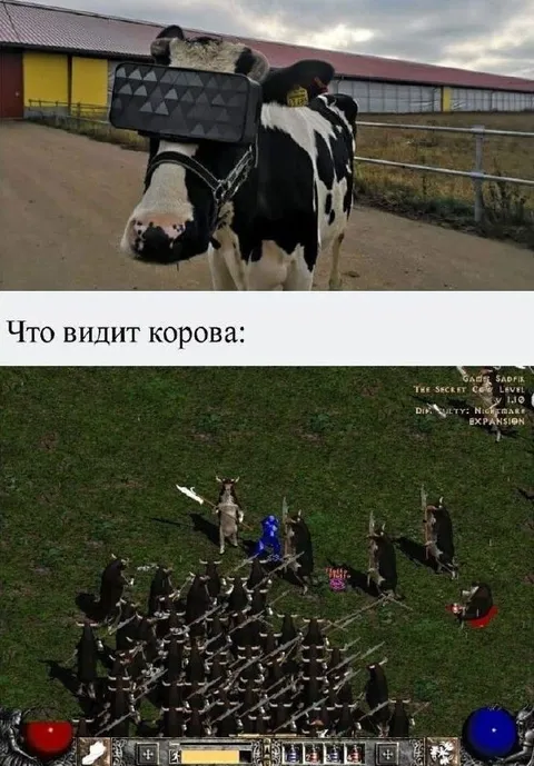 Что видит корова