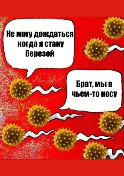 Берёза в чужом носу