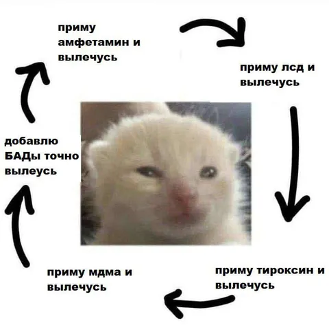 Круговорот попыток вылечиться