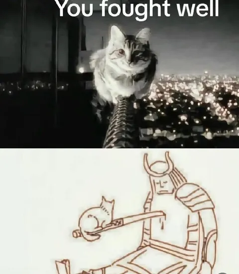 You Fought Well Cat Knight