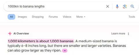 1000 Kilometers in Bananas