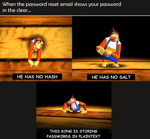 Password Stored in Plaintext