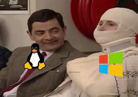 Manual Windows Update