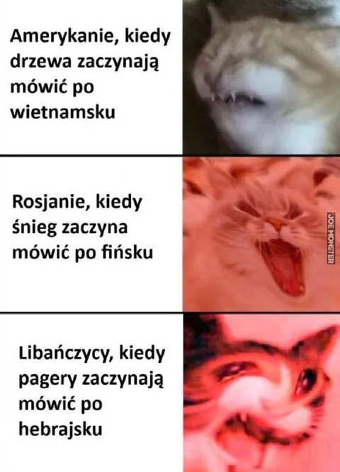 Kiedy rzeczy mówią obcym językiem
