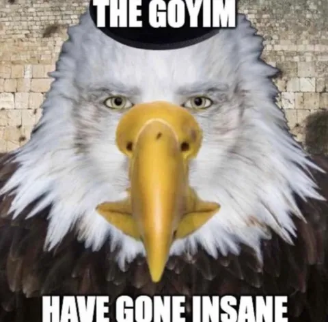 The Goyim Have Gone Insane
