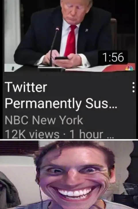 Trump Sees Permanently Suspended Twitter