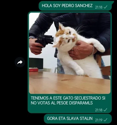 Gato secuestrado por Pedro Sánchez