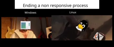 Ending a Non-Responsive Process