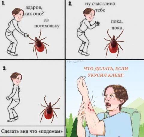 Клещ и неловкое прощание