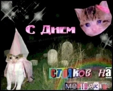 Котята поздравляют с днём
