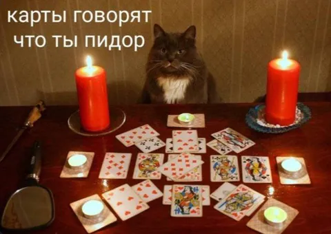 Карты говорят правду