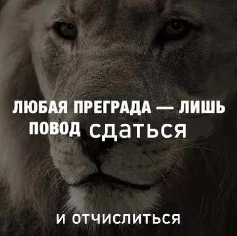 Любая преграда — повод сдаться