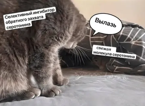 Ингибитор вытаскивает серотонин