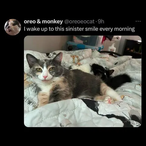 Sinister Smile Every Morning