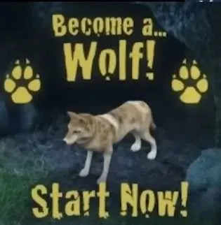 Become a Wolf Start Now