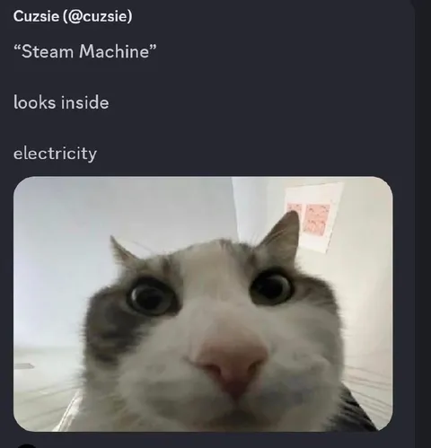Cat Looks Inside Electricity