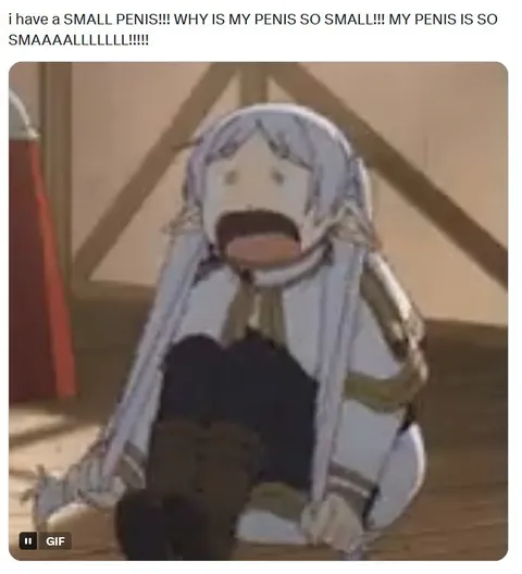 Why Is My Penis So Small