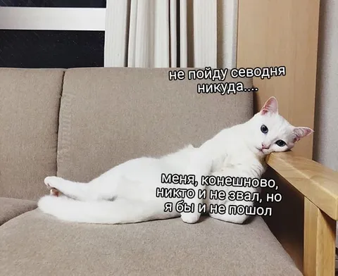 Я бы и не пошол