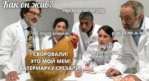 Учёные пытаются понять мем