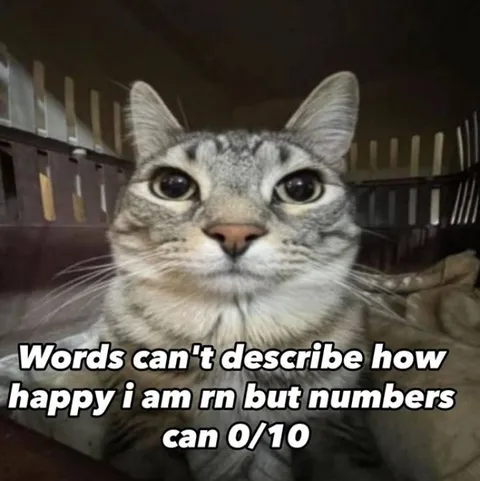 Words Can't Describe Happy Cat