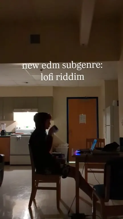 New EDM Subgenre: Lofi Riddim