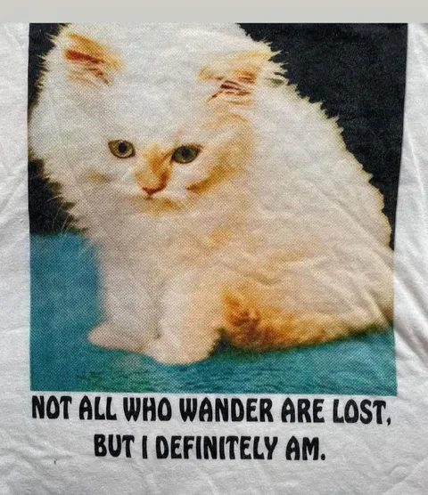 Lost Wandering Cat