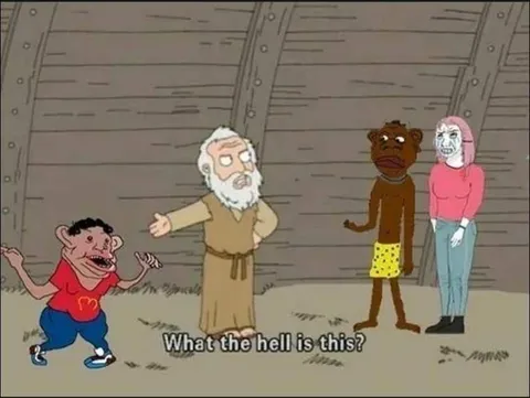 What the Hell Is This?