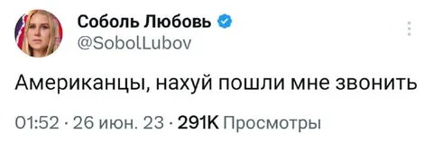 Американцы звонят Любови Соболь