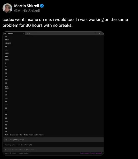 Codex Goes Insane After 80 Hours